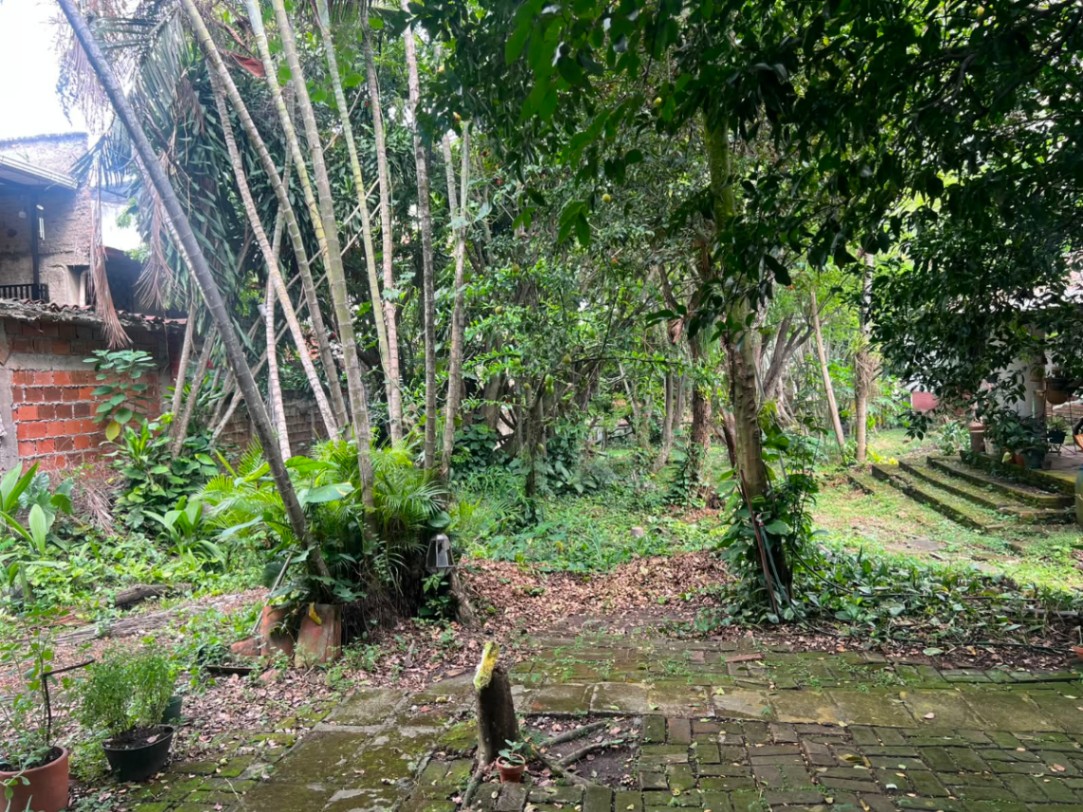 Av 6a N, El Bosque, Cali, Valle del Cauca, Colombia 4